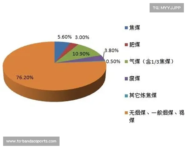NBA中国赛与中国市场拓展战略分析及其未来发展趋势 NBA中国赛与中国市场拓展战略分析及其未来发展趋势