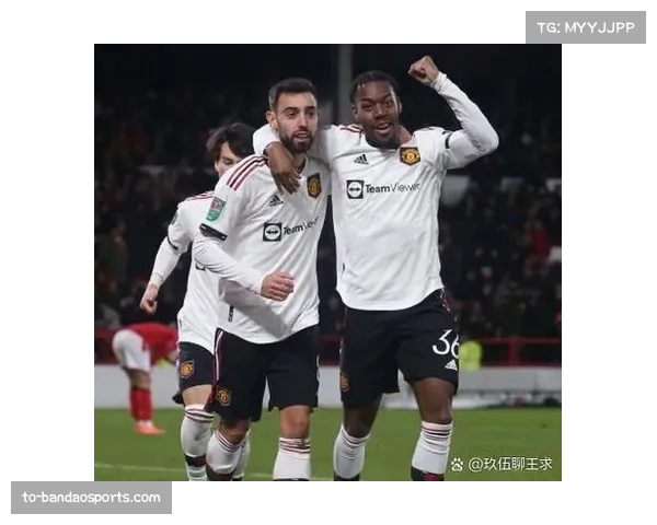 4-2-3-1阵型使用率激增38% 成为本赛季英超新宠